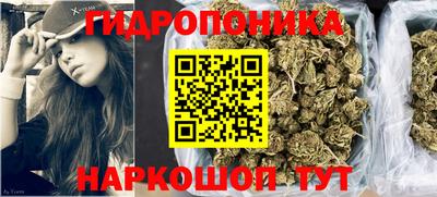 шишки Славянск-на-Кубани