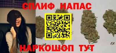 шишки Славянск-на-Кубани