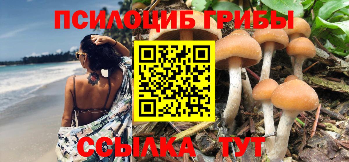 Прокопьевск  Галлюциногенные грибы Cubensis  Галлюциногенные грибы Psilocybe  Вход с VPN 